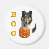 Collie Boo lisse - Magnet