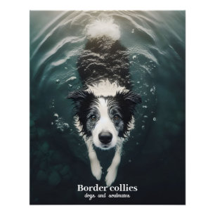Collie frontière - affiche