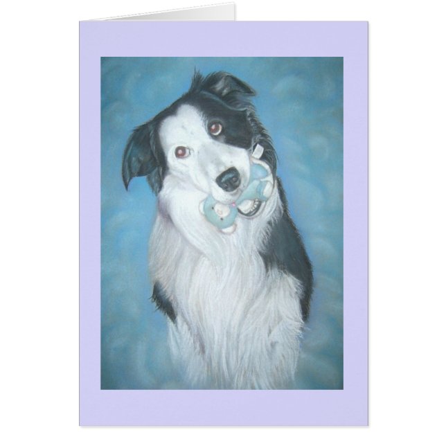 collie frontière mignonne avec chien en peluche pe (Devant)