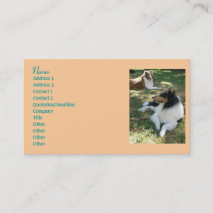 Collie Lovers Carte de visite 2