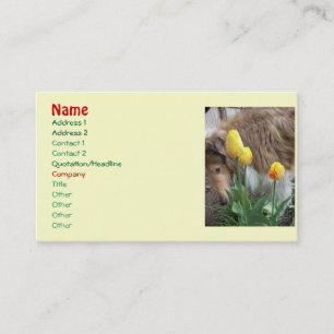 Collie n'Tulips Cartes de visite