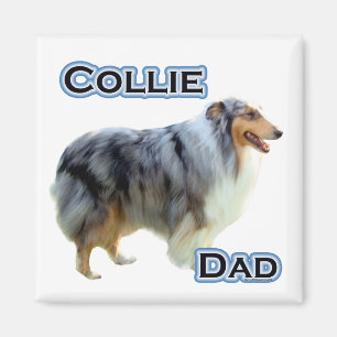 Collie Papa 4 - Magnet