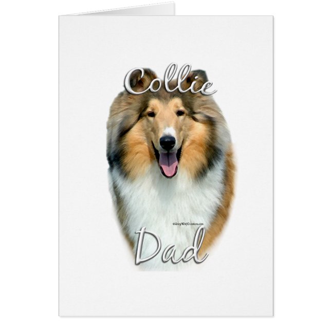 Collie (rude) Papa 2 (Devant)