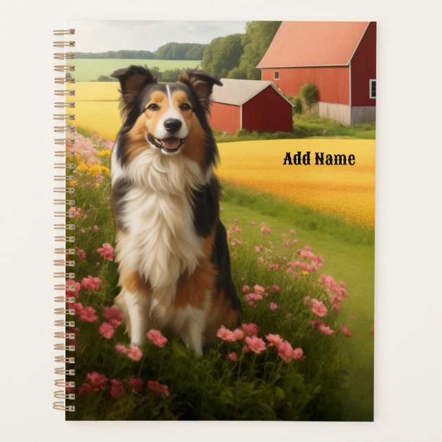 Collie standard dans une ferme (Devant)