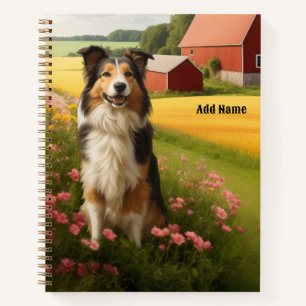 Collie standard sur cahier de ferme
