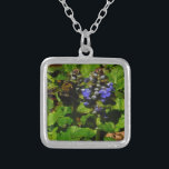 Collier Baume d'abeille pourpre et bourdon<br><div class="desc">Fleur de baume d'abeille mauve,  fleurs et bourdons jaunes et noirs Photo de Sandy Closs prise au lac Arrowhead violet,  "baume d'abeille",  fleur,  fleurs,  fleurs,  fleurs,  printemps,  cerise,  cerises,  jardin,  mariage,  mariages, </div>