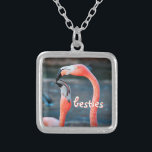 Collier Besties Flamant rose rose Amis Photo Cute Chic Fun<br><div class="desc">Qui dit que les flamants roses ne peuvent pas s’amuser avec leur ami préféré ? Profitez de cette image divertissante chaque fois que vous portez ce magnifique collier de charme photographique coloré de deux flamants roses jouant autour. Ce collier se présente en petites, moyennes et grandes tailles, ainsi qu'en forme...</div>
