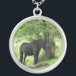 COLLIER CHEVAUX<br><div class="desc">Une belle jument noire posée à l'ombre d'un arbre.</div>