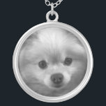 Collier Chiot adorable mignon de Pomeranian<br><div class="desc">Les séries d'animaux et d'animaux familiers qu'un chiot adorable mignon de Pomeranian essaye d'exercer l'esprit-control pour vous faire font son offre !
code d'image : hrmon266</div>