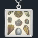 Collier Collection Conchology<br><div class="desc">Si vous ne pouvez pas vous rendre à la plage aujourd'hui, obtenez cette image de style classique de cette image unique de la vie marine par Albertus Seba! Imaginez-vous sur une plage à la découverte d'anémones marins que la nature a à offrir. Ces coquillages et plantes de mer au bord...</div>