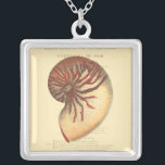 Collier Coque conique rouge vintage<br><div class="desc">Dans cette image vive, vous pouvez voir en vintage style naturel et unique de la coquille de conc rouge de près. Ce type unique d'art a des ombres noires et rouges pour accentuer la spirale de cette coquille de conque. Obtenez cette coque de conque avec un arrière - plan sépia...</div>