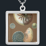 Collier Coque de cacao<br><div class="desc">Obtenez cette image unique de coquillage Conch rouge et bleu pilé en pierre sur votre prochain produit. Cet extraordinaire cacao arrière - plan ces deux coquillages uniques. Emmenez la plage avec vous partout où vous allez.</div>