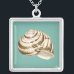 Collier Coquille striée Sepia sur Turquoise<br><div class="desc">Megan Meagher est connue pour ses oeuvres d'art simples. Il s'agit d'une grande image d'art décoratif qui capte la vie marine avec une coquille sépia conque rayée. Obtenez cette impression fine d'art aujourd'hui sur couleur turquoise sur votre produit Zazzle.</div>