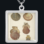 Collier Coquilles antiques craquelées<br><div class="desc">L'artiste Denis Diderot est talentueux et connu pour ses grandes images de la vie marine. Dans cette image très vivante, il capture quatre coquillages conques craquelés dans leur style le plus naturel. Les conches sont souvent craquelés comme ces quatre coquillages et dans un ton sépia. Obtenez votre produit de coquillages...</div>