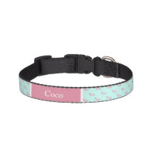Collier de chien personnalisé - Monnaie et Flamant