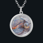 Collier Hawaii Sea Turtle Honu Photo Simple Bold Modern Mo<br><div class="desc">Les tortues de mer savent certainement se détendre au soleil. Retournez aux brises chaudes des îles Hawaiiennes chaque fois que vous portez ce collier de charme photo mignon, élégant, d'un gros plan d'une tortue de mer "honu" hawaïenne. Ce collier se présente en petites, moyennes et grandes tailles, ainsi qu'en forme...</div>