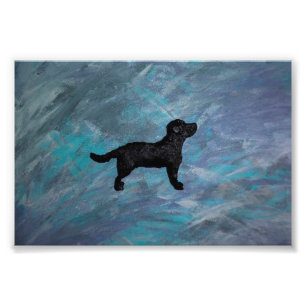 Collier photo Kodak Professional Photo Paper (Sati