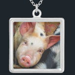 COLLIER PIÈCES<br><div class="desc">Ce mignon petit cochon veut juste dire "Salut" ! Angleterre France. com</div>