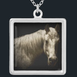 Collier Portrait de cheval VI<br><div class="desc">Animaux</div>