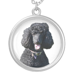 Collier Portrait de photo de noir de chien de caniche