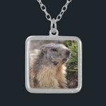 Collier Portrait Marmot alpin<br><div class="desc">Portrait Marmotte alpine (Marmota marmota - Mammifère) dans les Alpes françaises,  département de Savoie à La Plagne</div>