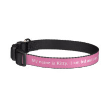 Collier pour chat