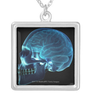 Collier Rayon X du cerveau à l'intérieur d'un crâne