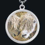 COLLIER SHEEP<br><div class="desc">Deux beaux moutons Cotswold capturés photographiquement dans un moment amusant et humoristique parlant entre eux. Les moutons Cotswold proviennent des Cotswolds en Angleterre et sont élevés pour leur laine et leur viande. Ils ont de longues fèces avec une teinte presque dorée.</div>