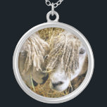 COLLIER SHEEP<br><div class="desc">Deux beaux moutons Cotswold capturés photographiquement dans un moment amusant et humoristique parlant entre eux. Les moutons Cotswold proviennent des Cotswolds en Angleterre et sont élevés pour leur laine et leur viande. Ils ont de longues fèces avec une teinte presque dorée.</div>