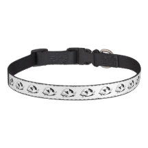 chat colaire animal orange col animal