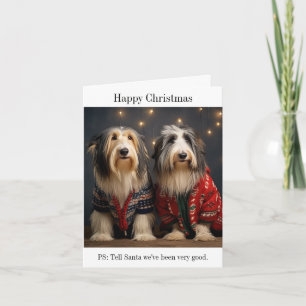 Collies harcelées Bonne carte de Noël