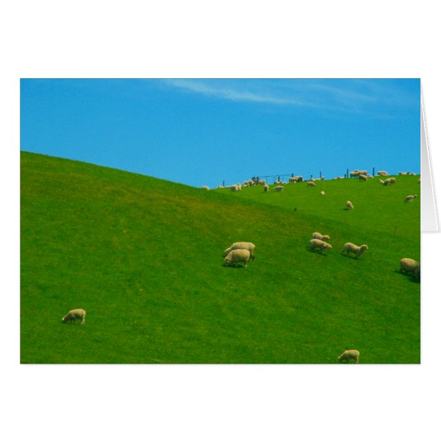 colline des moutons (Devant horizontal)