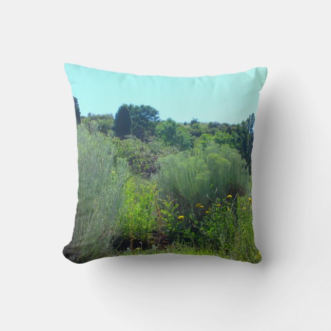 Colline du Coussin vert (Recto)