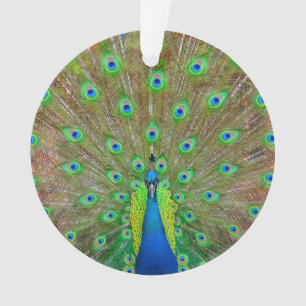 Colon bleu #3 Ornement