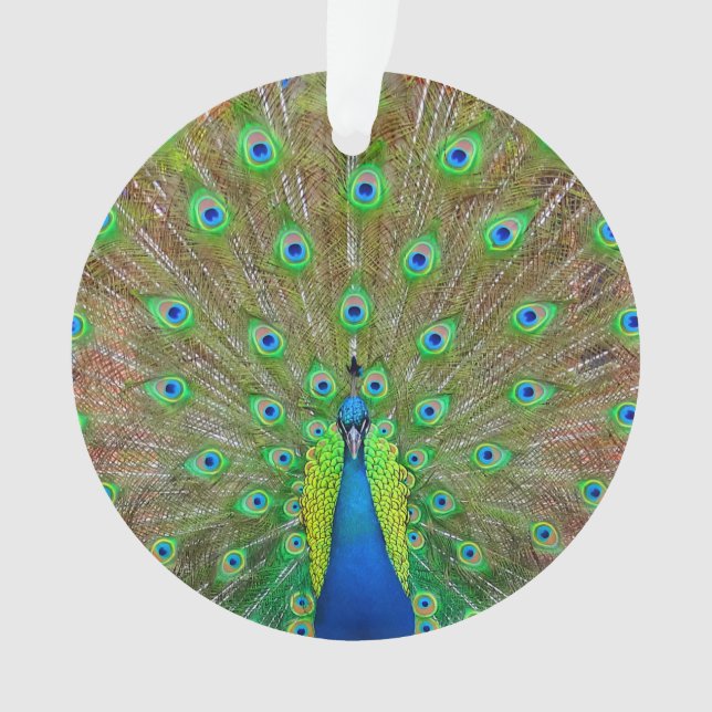 Colon bleu #3 Ornement (devant)