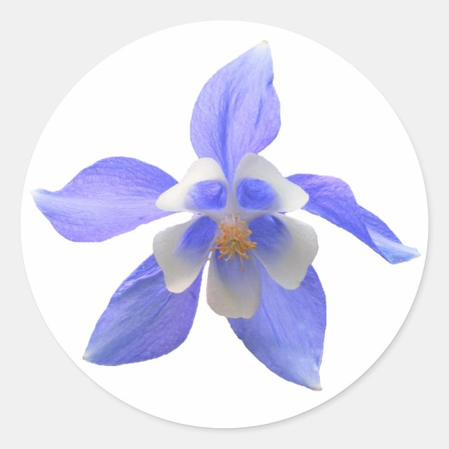 Colonne 158 ~ autocollant (Devant)