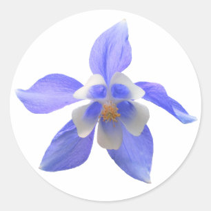 Colonne 158 ~ autocollant