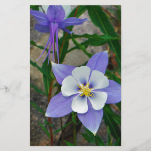 Colonne bleue