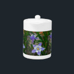 Colonne bleue<br><div class="desc">Bleu columbine photo par Sandy Closs dans les montagnes du nord-ouest Colorado "colonnine violette", fleurs "Blue columbine", floral, fleur, lavande, fleurs, plantes, fleurs, jardins, jardin, fleur sauvage, Colorado montagne</div>
