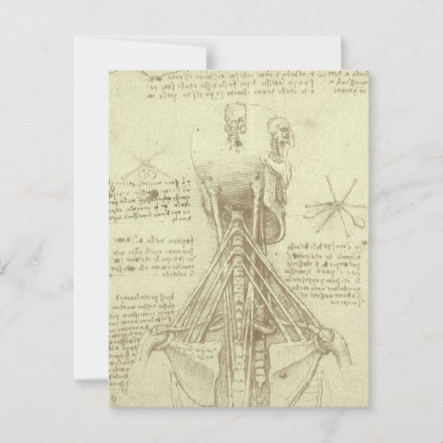 Colonne de colonne vertébrale de l'anatomie humain (Devant)