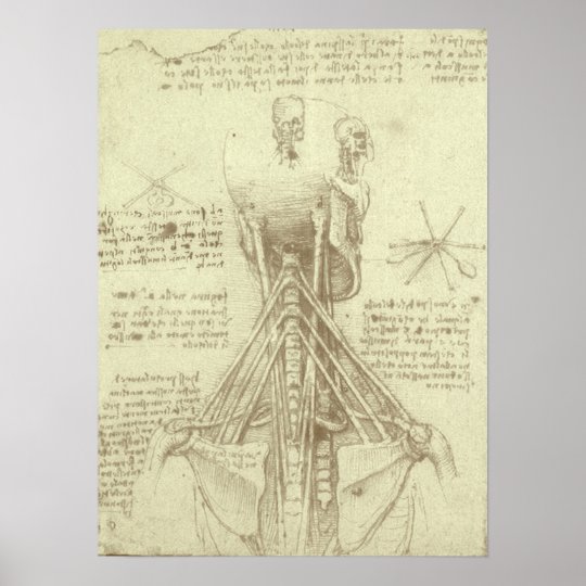 Colonne vertébrale d'anatomie humaine par Leonardo Poster