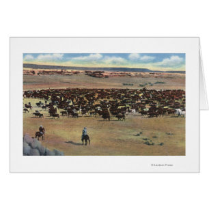 Colorado - Arrondissement de Cowboys