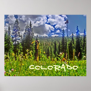 Colorado Forrest affiche pittoresque