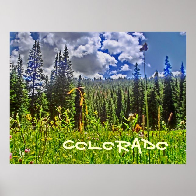 Colorado Forrest affiche pittoresque (Devant)