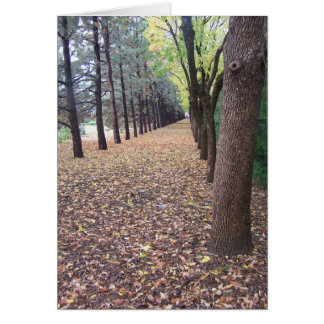 Colorado Route d'automne