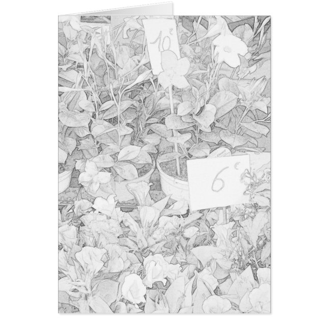 Coloration du marché de fleur (Devant)