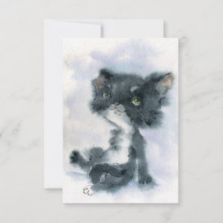 Colorcat 3