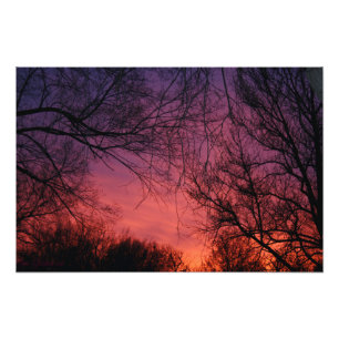 "Colore" la photo