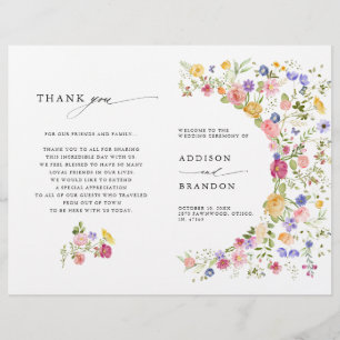 Coloré Printemps Fleur sauvage Meadow Garden Progr