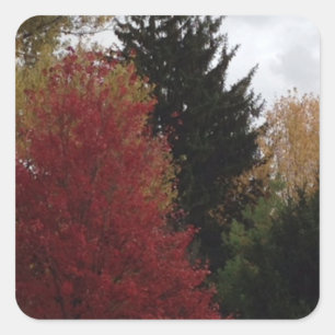 Colorée Automne Arbres Personnalisés Stickers